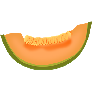 Slice melon PNG-14378